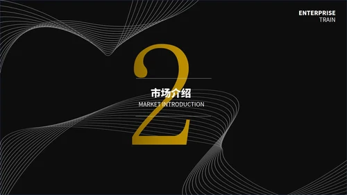 黑色简约线条创业计划书通用PPT模板