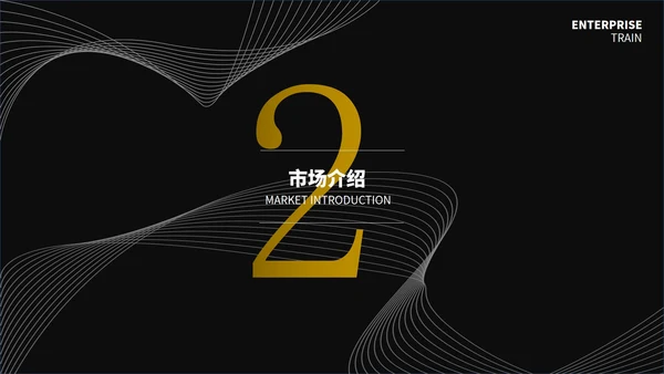 黑色简约线条创业计划书通用PPT模板