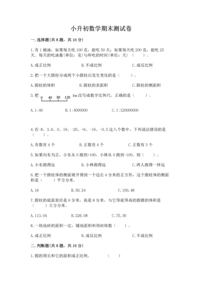 小升初数学期末测试卷及完整答案一套.docx