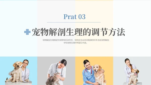 实拍风宠物解剖生理宠物解剖生理讲座PPT
