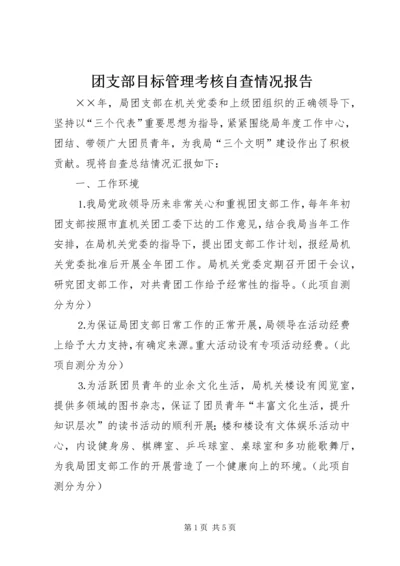 团支部目标管理考核自查情况报告 (2).docx