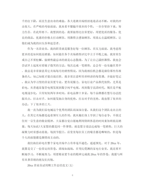 精编之营业员试用期工作总结范文.docx