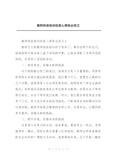 教师岗前培训收获心得体会范文.docx