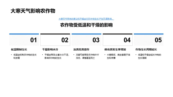 大寒气候与农业应对