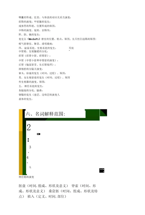 人体发育学复习要点12讲神经系统发生及复习