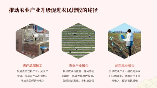 农业农村系统学习贯彻两会精神党课课件