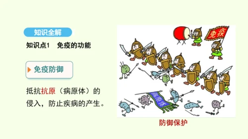 8.1.2.2免疫与计划免疫（第二课时）课件-人教版生物八年级下册(共27张PPT)