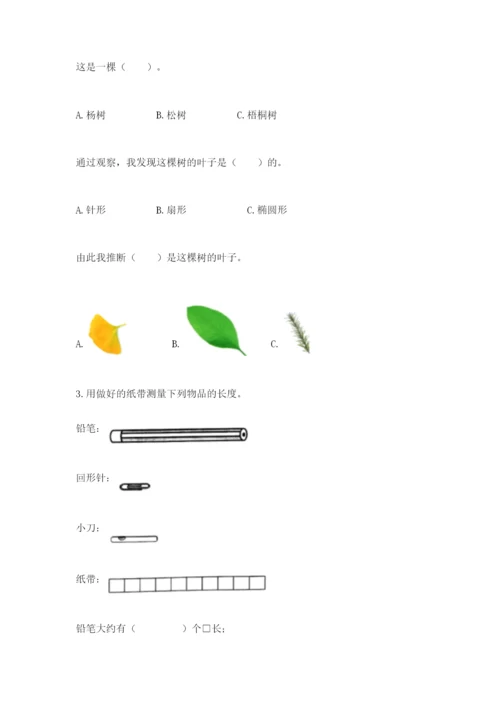 教科版一年级上册科学期末测试卷（完整版）.docx