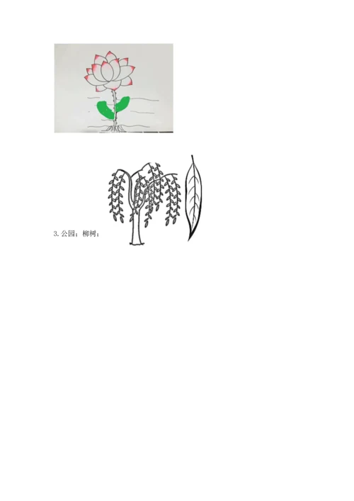 教科版科学一年级上册第一单元《植物》测试卷【实验班】.docx