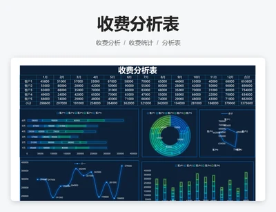 收费分析表