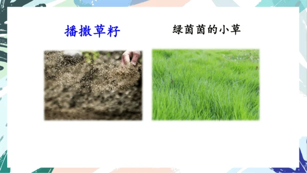 21.青蛙卖泥塘（第二课时）教学课件