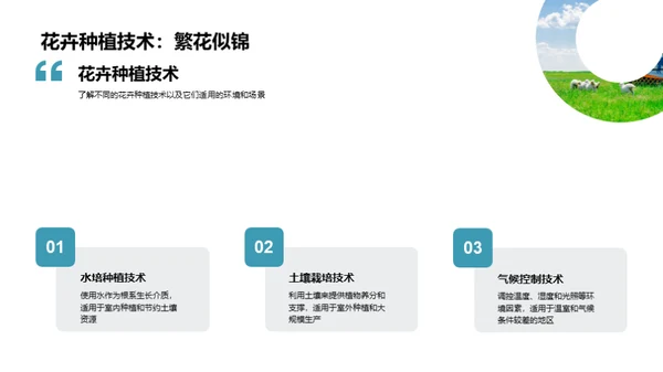 花卉养殖艺术解析