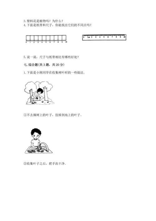 教科版一年级上册科学期末测试卷带答案（b卷）.docx