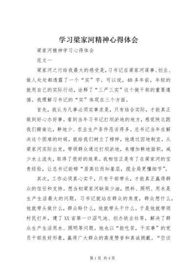 学习梁家河精神心得体会 (8).docx