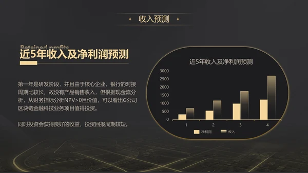 黑金质感项目战略商业计划书通用PPT模板