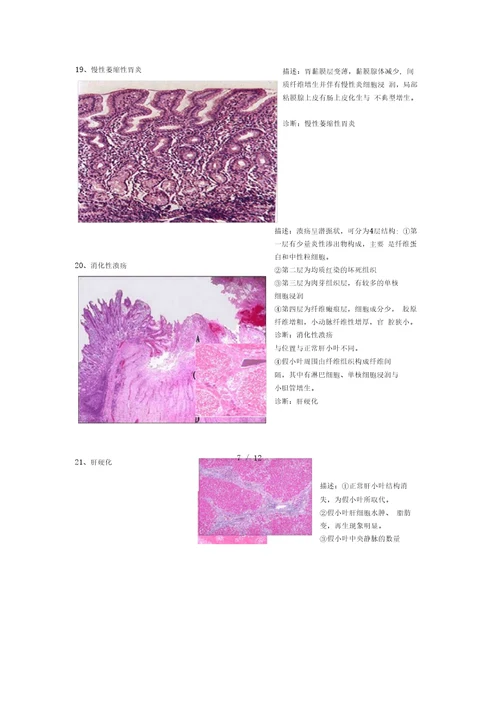 病理切片整理