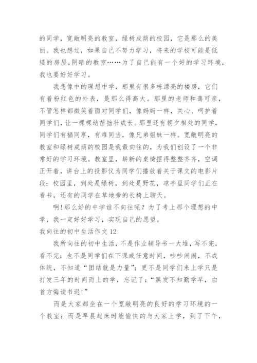 我向往的初中生活作文.docx