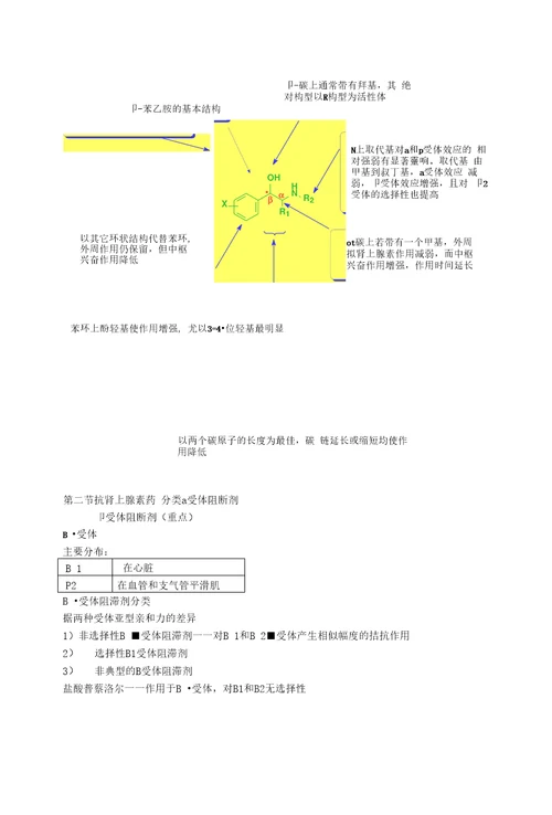 12作用于肾上腺素能受体的药物