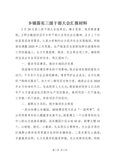 乡镇落实三级干部大会汇报材料.docx