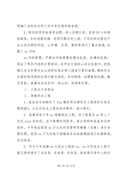 乡镇水利工作个人总结.docx