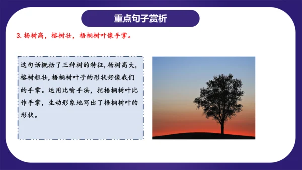 统编版语文二年级上册识字 第二单元（复习课件）