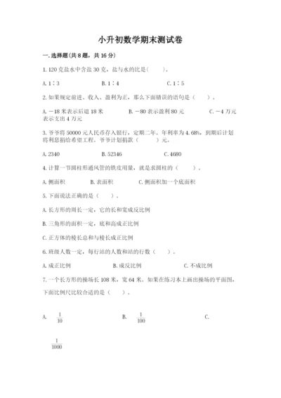 小升初数学期末测试卷精品（实用）.docx