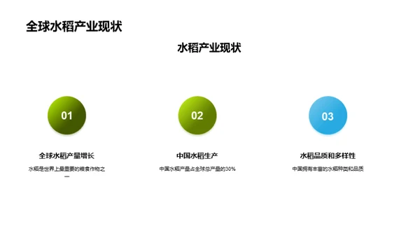 水稻农业技术创新