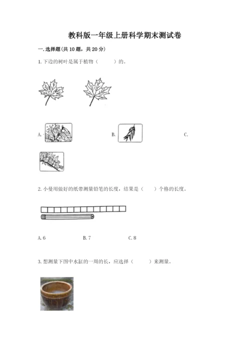 教科版一年级上册科学期末测试卷精品【完整版】.docx