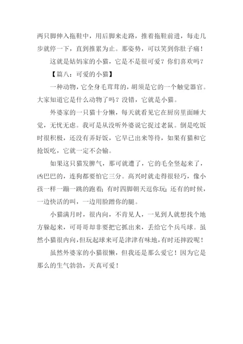 小猫的作文350字.docx