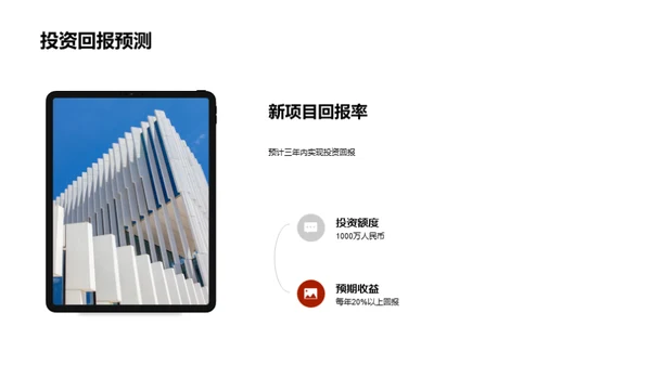 新项目投资展望