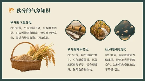 绿色复古风秋分节气的历史文化习俗PPT模板