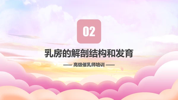 高级催乳师培训母婴类PPT模板