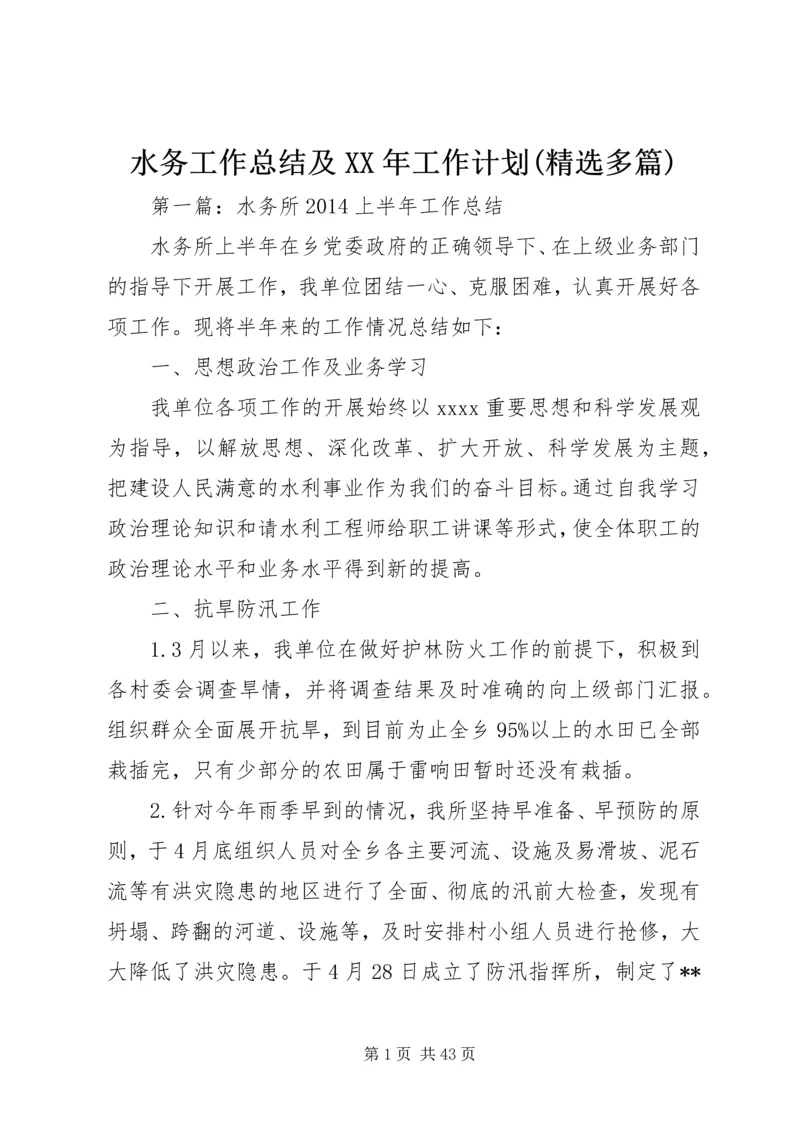 水务工作总结及XX年工作计划(精选多篇).docx