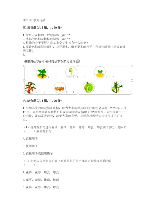 教科版科学四年级下册第一单元《植物的生长变化》测试卷及答案【精品】.docx