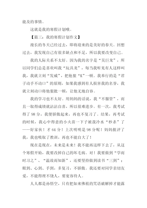 我的小计划作文400字.docx