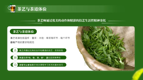 茶文化采茶旅游PPT模板_采茶之旅与文化体验报告PPT模板