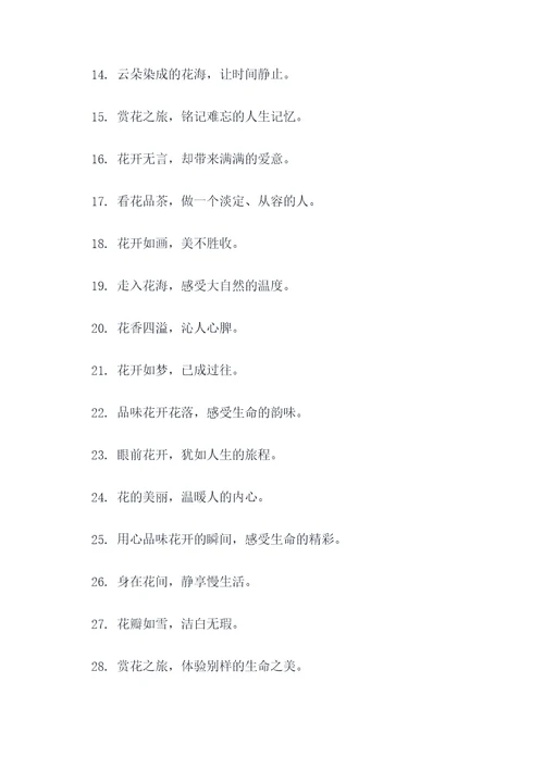 云赏花宣传标语