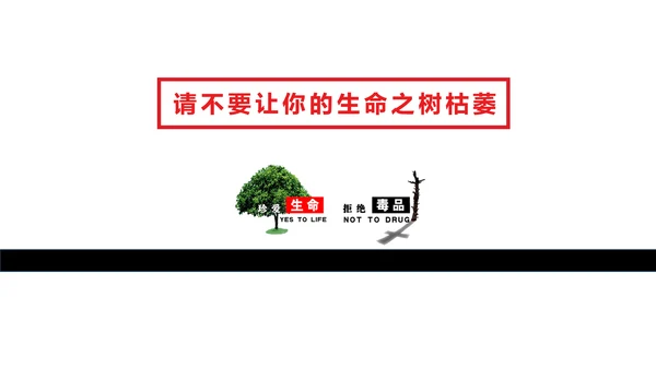 珍爱生命世界禁毒日PPT