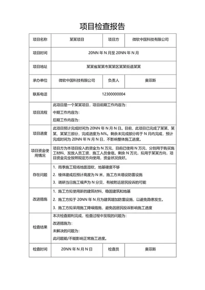项目检查报告word模板