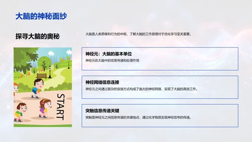 优化学习的脑科学策略