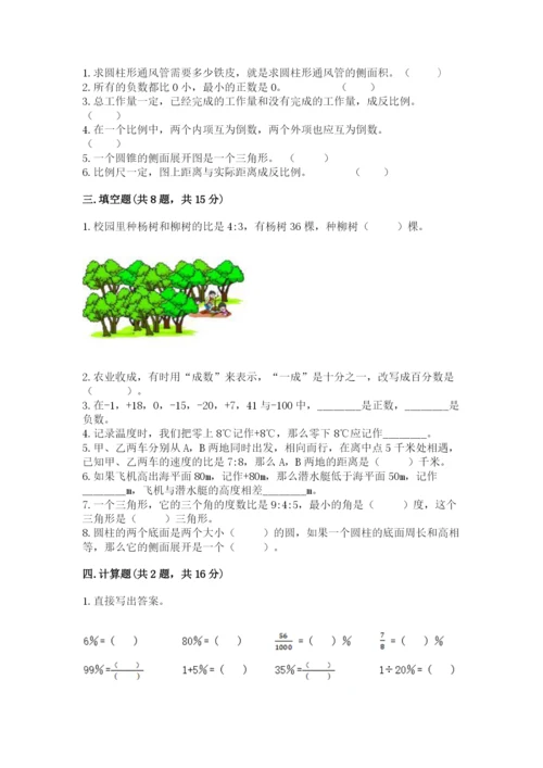 北师大版六年级下册数学期末测试卷带答案（名师推荐）.docx