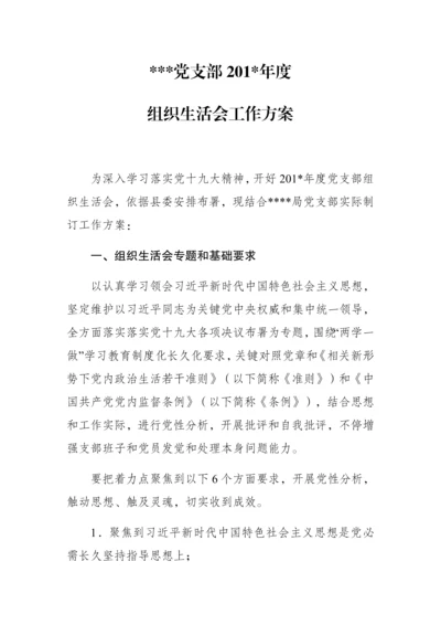 党支部组织生活会工作专业方案.docx