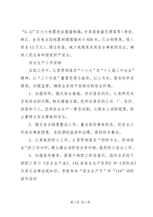 粮食局安全生产工作总结及工作计划 (3).docx