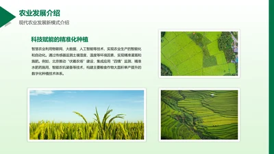 简约风含图片PPT列表