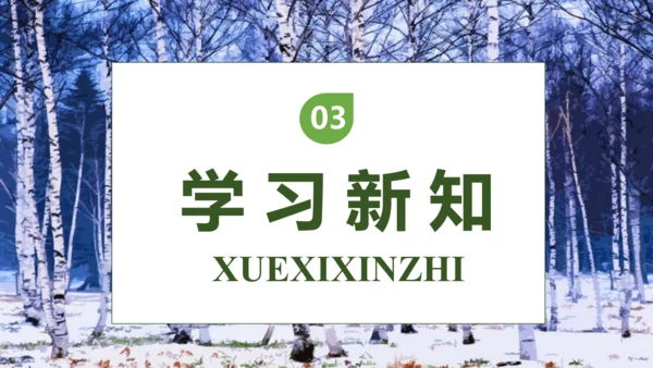 【核心素养】部编版语文四年级下册-11.白桦 第1课时（课件）