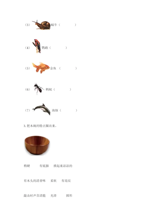 教科版二年级上册科学期末测试卷精品（实用）.docx