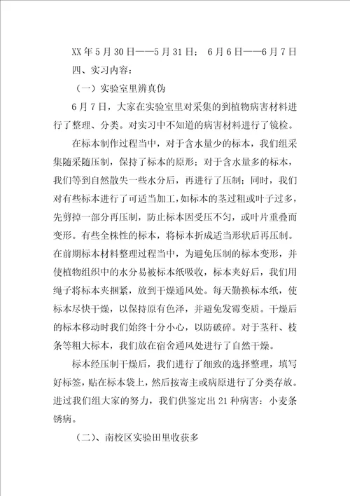 大学生植物病理学实习报告