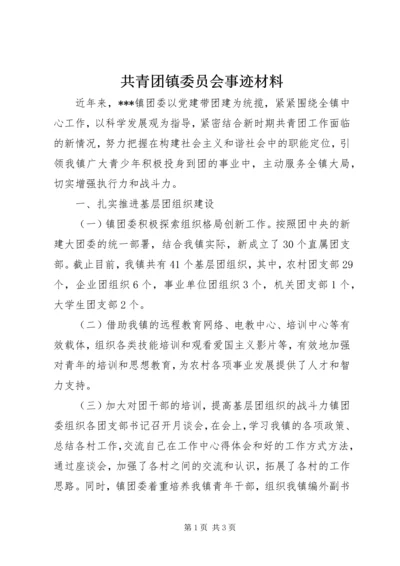 共青团镇委员会事迹材料.docx