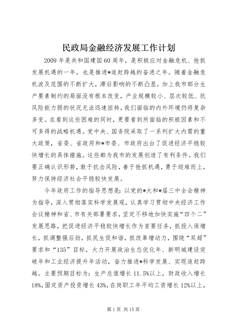 民政局金融经济发展工作计划.docx