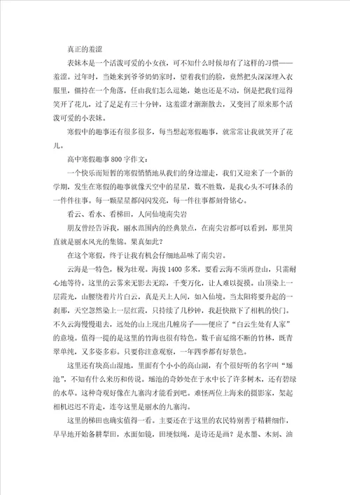 高中寒假趣事800字作文